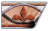 transfermini.gif (2152 byte)